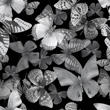 nith butterfly03 siyah