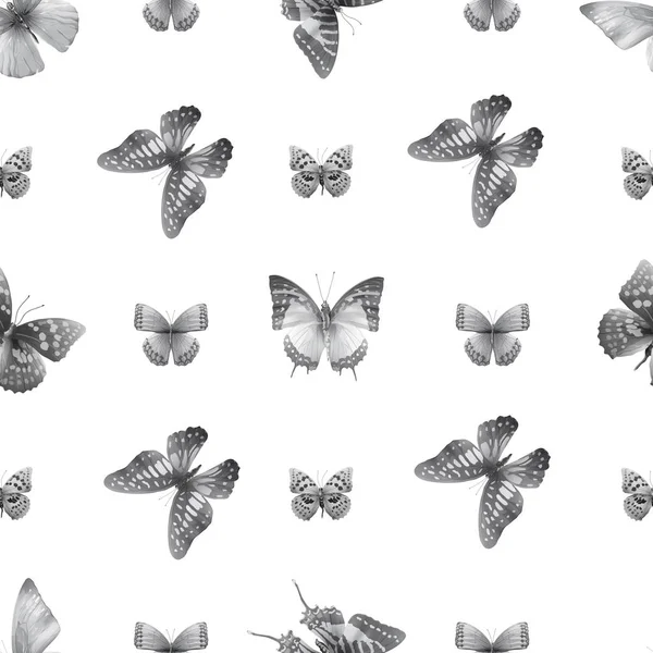 Белоснежная бабочка — стоковый вектор