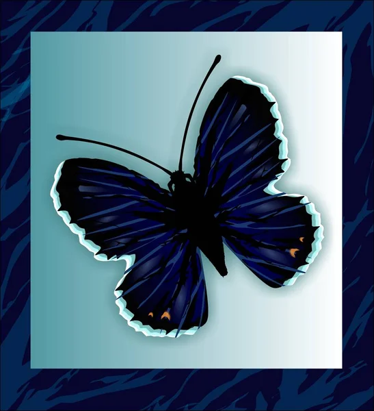 Mariposa negra sobre fondo azul — Vector de stock
