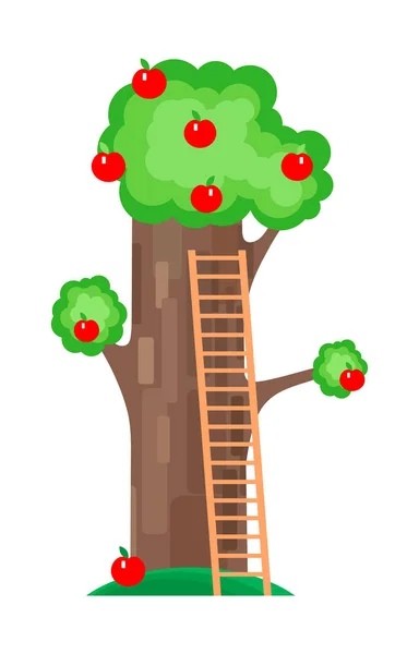 Apple Tree Leaning Ladder Red Apples Cartoon Style Isolated Image — Stock Vector