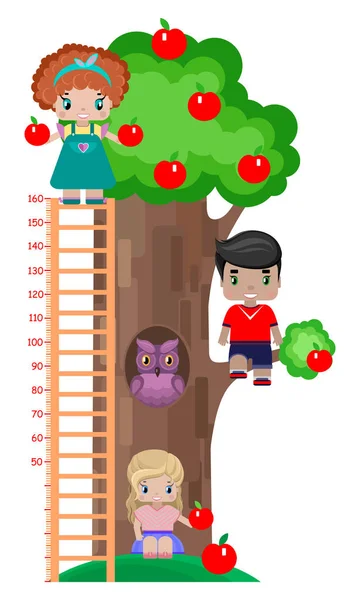 Medidor Crescimento Para Crianças Com Uma Árvore Maçã Uma Coruja — Vetor de Stock