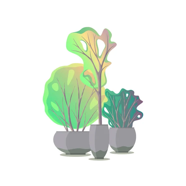 Grote Binnenplanten Verschillende Keramische Potten Plantenbakken Platte Vectorillustratie — Stockvector