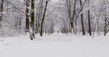 mutlu bir çift kış orman