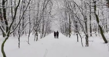 Kış parkta yürüyen genç mutlu çift