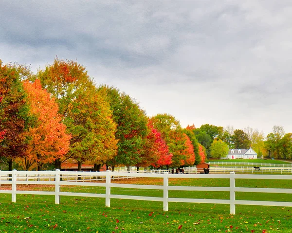 Paardenboerderij in de herfst 3 — Stockfoto