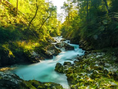 Slovenya 'daki Vintgar Vadisi şelalesine bak