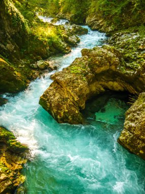 Slovenya 'daki Vintgar Vadisi şelalesine bak