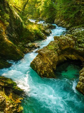 Slovenya 'daki Vintgar Vadisi şelalesine bak