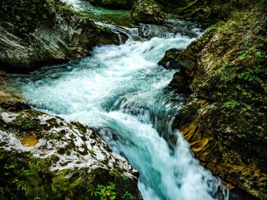 Slovenya 'daki Vintgar Vadisi şelalesine bak