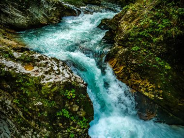 Slovenya 'daki Vintgar Vadisi şelalesine bak