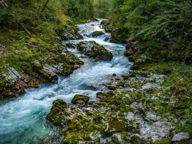 Slovenya 'daki Vintgar Vadisi şelalesine bak