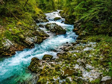 Slovenya 'daki Vintgar Vadisi şelalesine bak