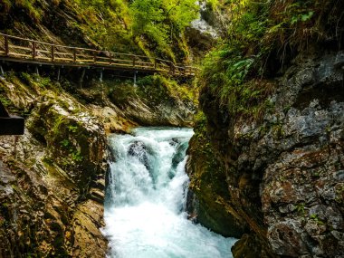 Slovenya 'daki Vintgar Vadisi şelalesinde yürüyüş yoluna bak
