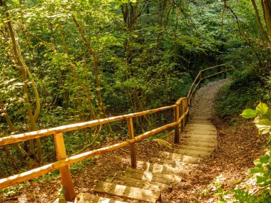 Slovenya 'daki Vintgar Vadisi' ndeki merdivenlere bakın.