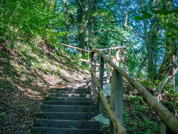 Lihat tangga di hutan Jurang Vintgar di Slovenia — Stok Foto