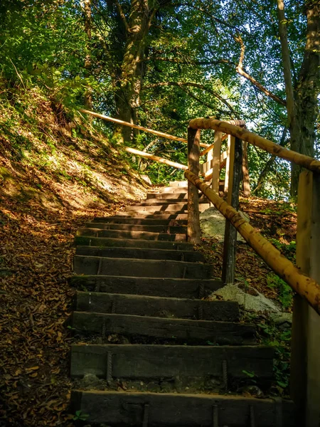 Vista sobre escadas na floresta do desfiladeiro de Vintgar na Eslovênia — Fotografia de Stock