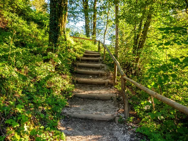 Vista en las escaleras en el bosque de la garganta de Vintgar en Eslovenia —  Fotos de Stock