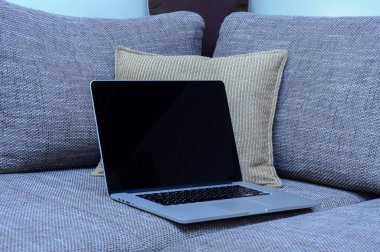 Oturma odasındaki ev ofisinin ofisindeki kanepede dizüstü bilgisayara bak..