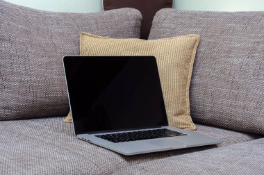 Oturma odasındaki ev ofisinin ofisindeki kanepede dizüstü bilgisayara bak..