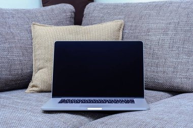 Oturma odasındaki ev ofisinin ofisindeki kanepede dizüstü bilgisayara bak..