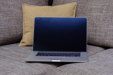 Oturma odasındaki ev ofisinin ofisindeki kanepede dizüstü bilgisayara bak..