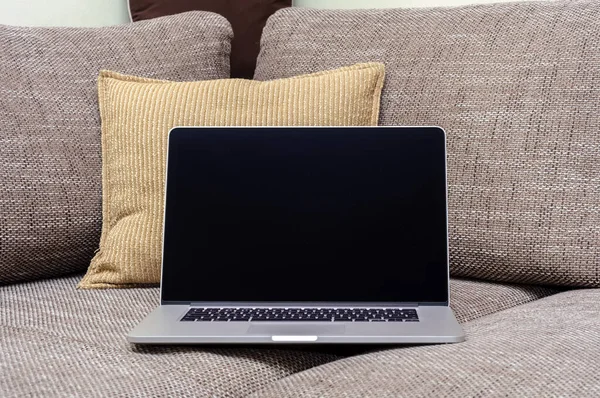 Oturma odasındaki ev ofisinin ofisindeki kanepede dizüstü bilgisayara bak..