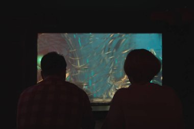 Genç bir çift bir oyun ile projeksiyon çerçevede bir silueti. Bir adam ve bir kız gece video oyunları oynamak
