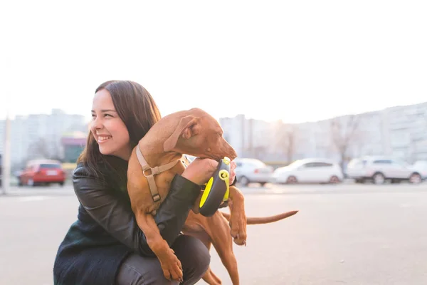 Happy girl is the owner and dog on the background of the city at sunset. Death with a dog in the city during the sunset. Greedy is the owner of the dog. The girl hugs a puppy. — Stock Photo, Image