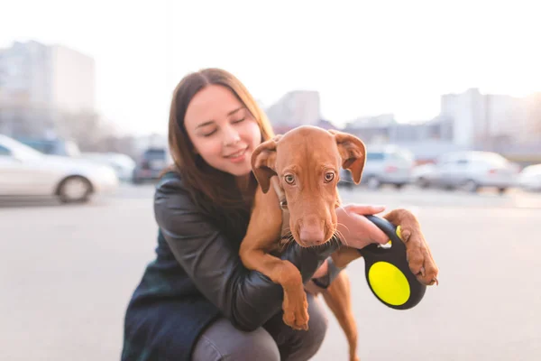 Portré egy lány és egy vicces fiatal kutya, a háttérben a naplemente a város ellen. A kutya van a középpontban. Magyar Vizsla fajta. — Stock Fotó