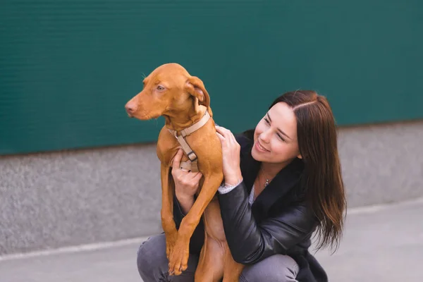 幸せな所有者および壁の背景でのペットの肖像画。行為は、犬の散歩を抱擁します。動物好きに — ストック写真