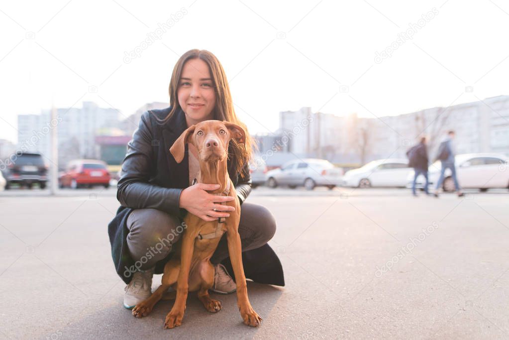 Portrait of a dog and a beautiful girl in the background of a city landscape. Walk around the city with a pet. Happy dog owner. The girl hugs a puppy.