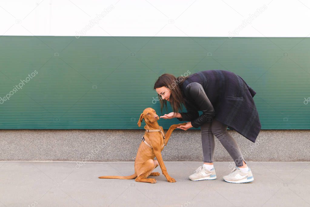 Portrait of a girl and a little dog against the background of the wall. A woman plays with a puppy. Copyspace