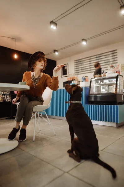 Девушка в стильной одежде и шляпе, играющая с собакой — стоковое фото