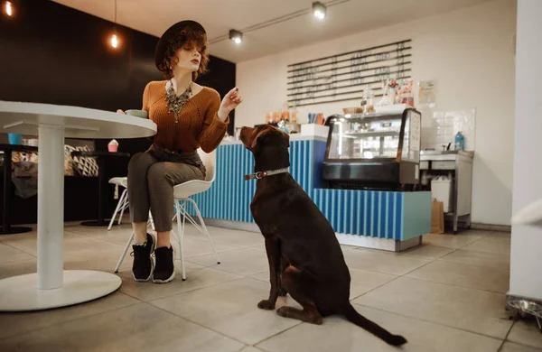 Piękna dziewczyna w stylowe ubrania i kapelusz gra z psem w — Zdjęcie stockowe