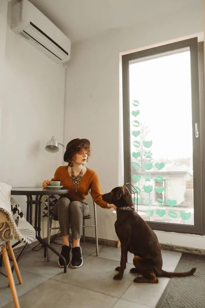 Fille élégante dans un chapeau boit du café et joue avec un chien dans un café léger confortable, regarde le chiot et les coups. Belle dame buvant du café dans un café acceptant les animaux . — Photo