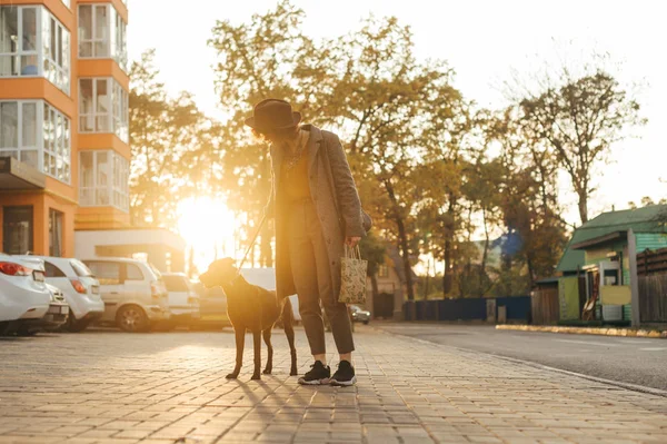 Foto av elegant kvinna promenader hund på kvällen på stadens bakgrund vid solnedgången. Damen som rastar en valp i koppel. Kvällspromenad med din favorit. — Stockfoto