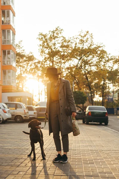 Retrato de una elegante chica de cuerpo entero paseando con un perro con una correa por la calle en el fondo del atardecer. La dama a la moda en el paseo por la ciudad con los perritos. Mascotas . —  Fotos de Stock