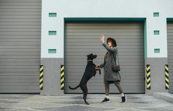 帽子のスタイリッシュな女の子は灰色の壁の背景に犬と遊ぶ、子犬は所有者の手にバウンス。ハンサムな女性は建物の背景に犬を屋外で訓練します。コピースペース — ストック写真