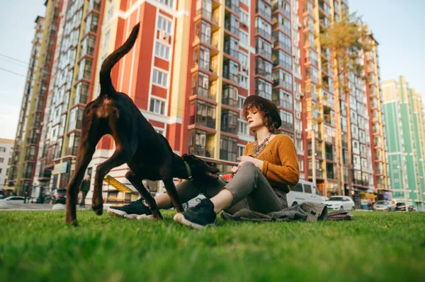 Vacker flicka i hatt leka med lekfull hund på gräsmattan på gården på en bakgrund av modern arkitektur. Hipsterflickan tillbringar sin lediga tid med en hund på en promenad. Husdjur koncept. — Stockfoto