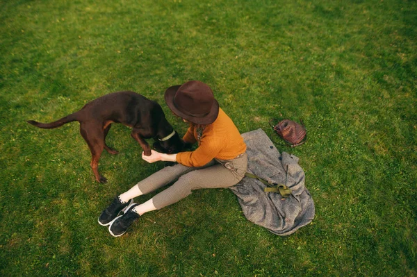 Ragazza elegante in un cappello si siede su un prato verde e gioca con un cane marrone. Donna alla moda che riposa sull'erba con un cucciolo, vista dall'alto. Tempo libero con il vostro animale domestico . — Foto Stock