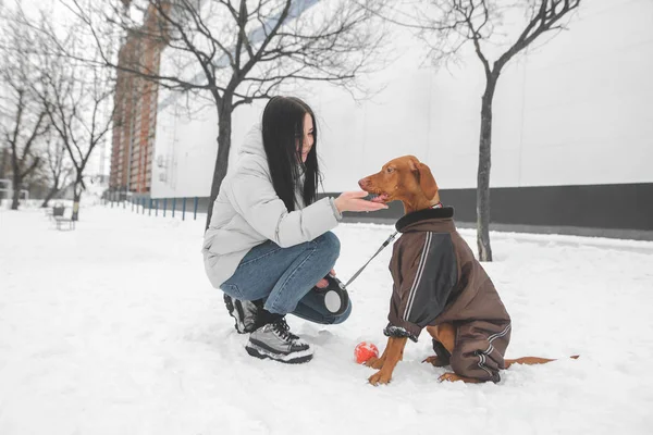 Mosolygós lány visel téli ruhát ül a hóban, kutya — Stock Fotó