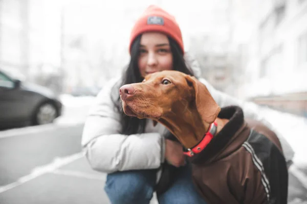 Brun klädd hund av magyar rasen tittar på sidan, men — Stockfoto