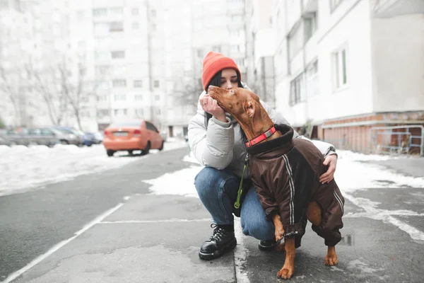 Egy barna, cuki kutyáról készült, zakóba öltözve, és egy lány szeretőjéről a háttérben. Koncentrálj a kutya szemére. Másolótér. — Stock Fotó