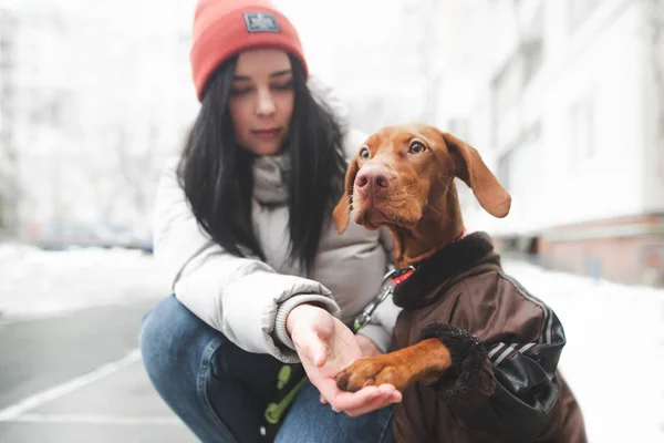 Barna kutya visel ruhát és egy boldog lány ül a hóban i — Stock Fotó