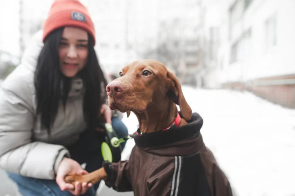 Крупный план портрета одетой собаки, гуляющей с девушкой на зиме — стоковое фото