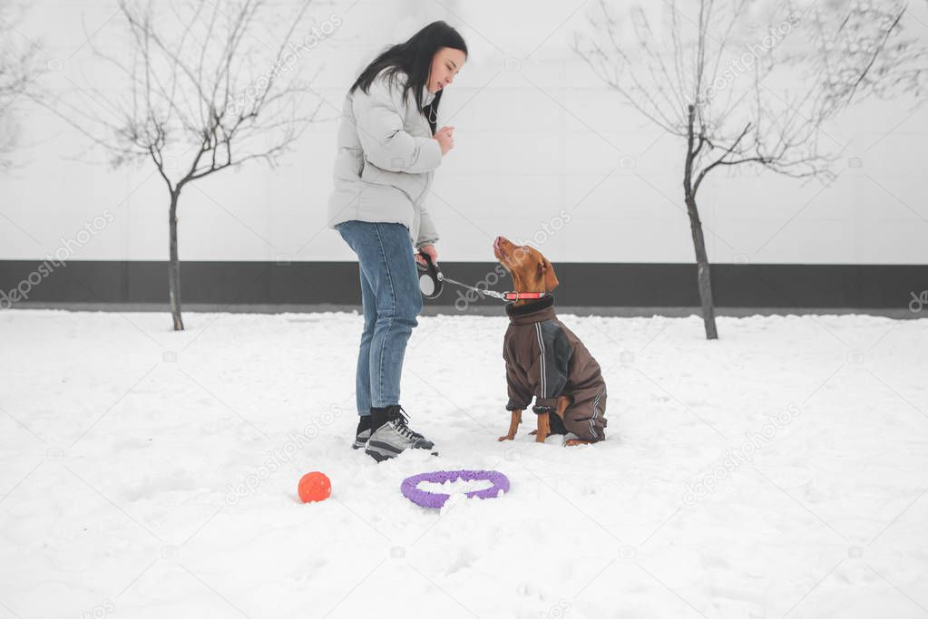 Woman in winter clothes and a dog on a leash stand in the snow o
