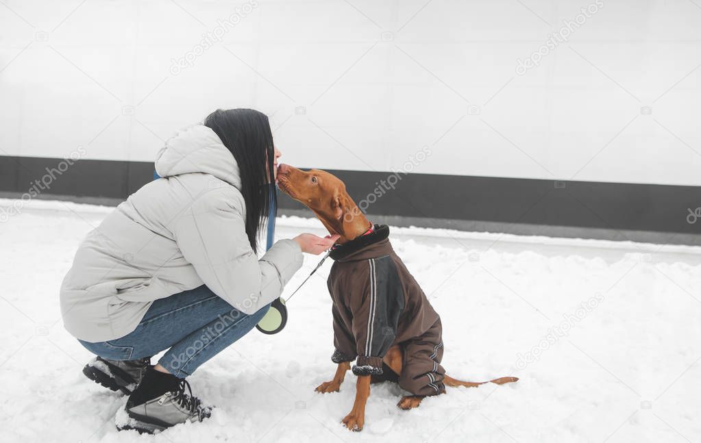 Girl is dressed in a jacket and a dog wearing clothes in the str