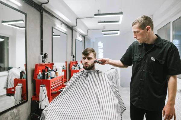 Man doing haircut in barber shop in modern light men\'s hairdresser.Barber clipping client in chair. Client and the male hairdresser make a haircut in a barbershop.