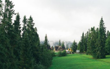 Geçmişi. Dağ yaz manzarası, ev ve çam ormanları. Yaz sabahları çimenlik ve turist evi olan yeşil manzaralı dağ manzarası. Dağlarda tatil kavramı.