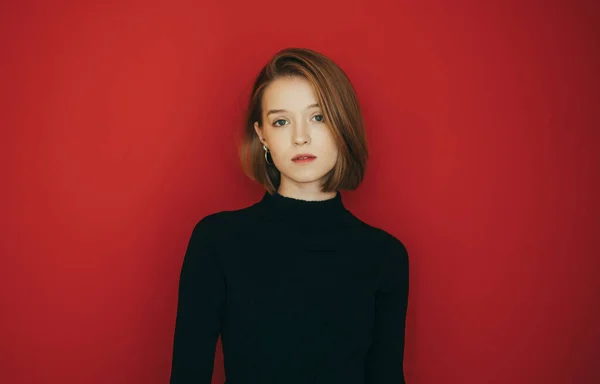 Chica sexy en un suéter oscuro se encuentra en un fondo de una pared roja, mira a la cámara con una cara seria. Elegante modelo de chica aislado en estudio sobre fondo rojo . — Foto de Stock